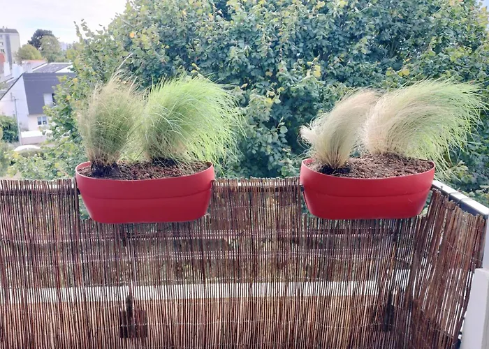 Proche Nouveau Chu Parking Gratuit Rezé